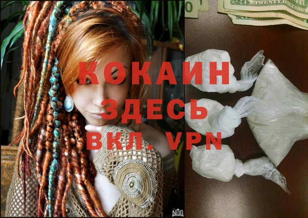 дживик Алзамай