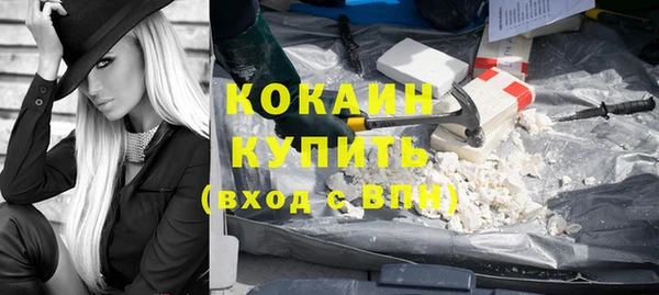 дживик Алзамай
