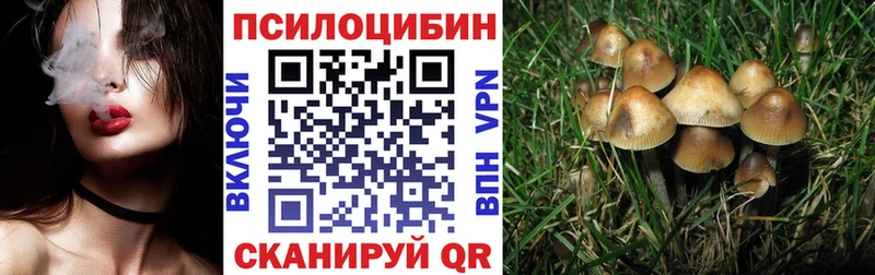 Галлюциногенные грибы прущие грибы  Пущино 
